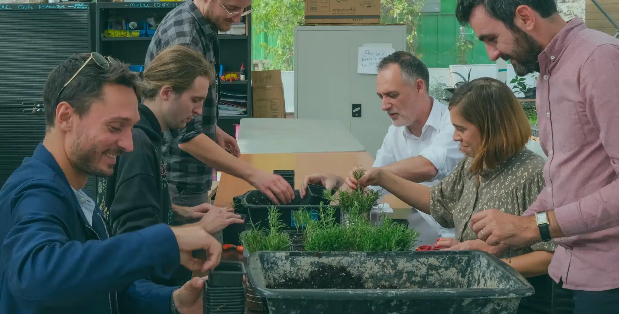 Des collaborateurs d’entreprise jardinent autour d’une table dans une serre, dans le cadre d’un team building écologique et solidaire organisé par Lutila, sur le thème de la permaculture et de l’agriculture urbaine.