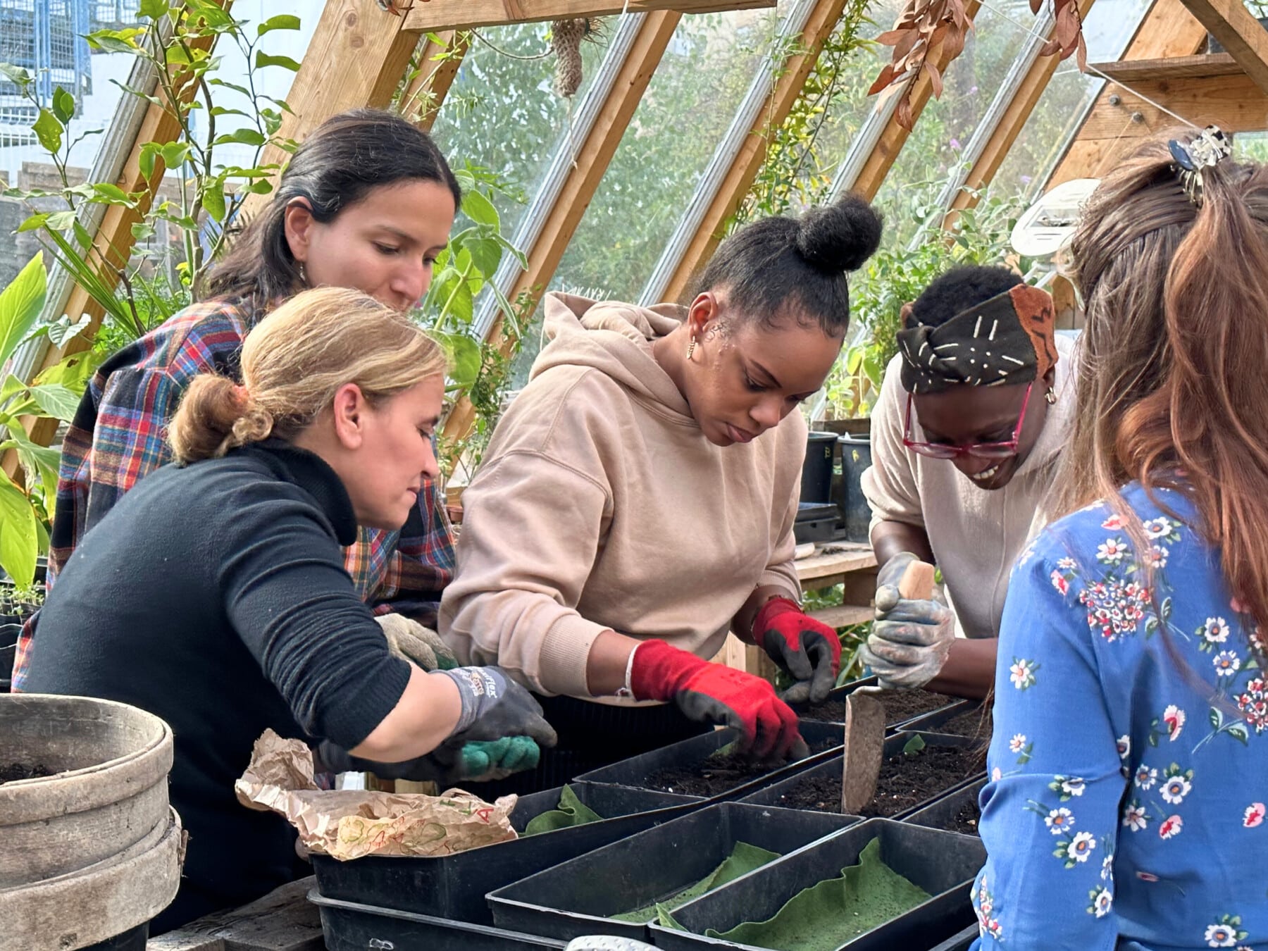 team building solidaire autour du potager pour une entreprise organisé par Lutila