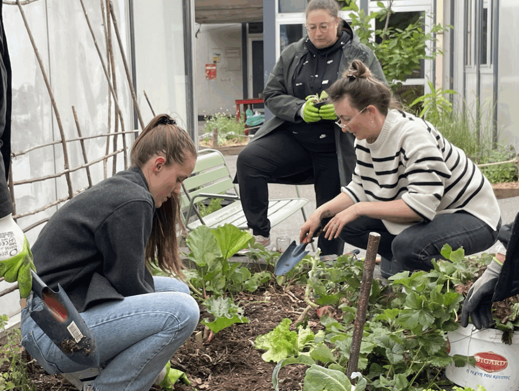 Activités RSE autour de la biodiversité et de la mise en terre de plants 